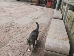 -老君山