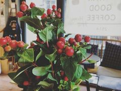 -251#coffee roasters(沿河东路店)