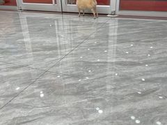 -芭比堂动物医院·24小时·眼科中心(深圳中心)