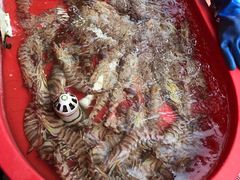 -芦潮港集贸市场