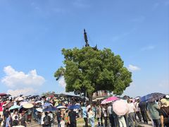 -观潮胜地公园