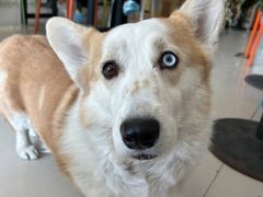 -平行世界·猫咖(首经贸店)