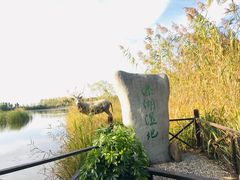 -溱湖国家湿地公园