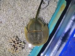 -重庆欢乐海底世界
