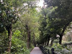 -广州市白云山风景名胜区