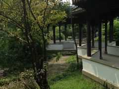 -天下玉苑