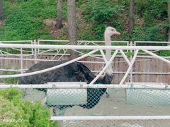 -大连老虎滩海洋公园