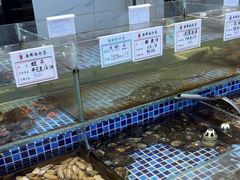 -天盛海鲜烧烤大排档·本地小海鲜·牟平腿穗子(幸福店)