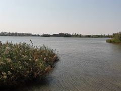 -芒洲湿地公园