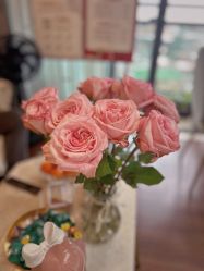 -哈颜科技轻美·