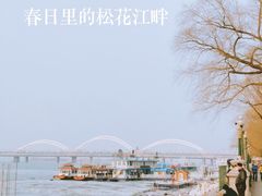 -人民防洪胜利纪念塔