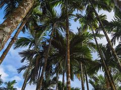 -七仙岭温泉国家森林公园