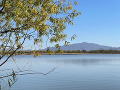 -野鸭湖国家湿地公园