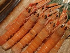 -星伦多自助料理·涮烤一体(嘉兴八佰伴店)