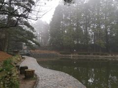 -庐山风景区花径公园
