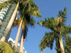 -碧桂园十里银滩