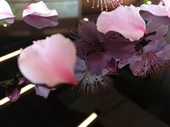 -美味之家·湖景农家乐(太湖东山店)