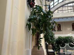 -利顺德大饭店·维多利亚花园(小白楼店)