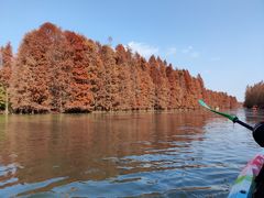 -上海海湾国家森林公园