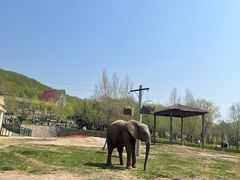 -哈尔滨北方森林动物园