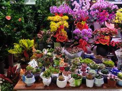 -三旗百汇商品城