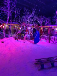-圣名游乐城冰雪大世界