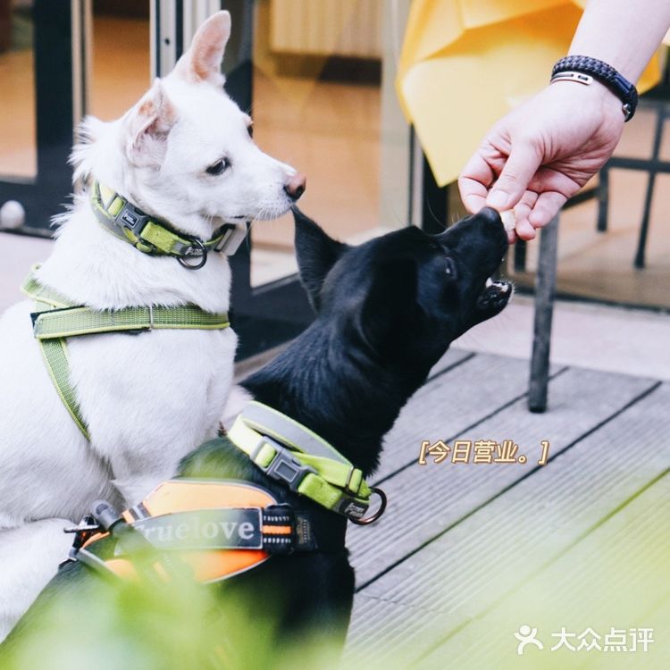 神秘的星巴克早餐佛卡恰,你吃过吗?