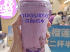 -一只酸奶牛(八一路店)