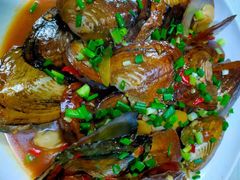 -淳安二十八道·美食汇·淳鱼馆(阳光路店)
