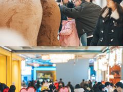 -凯德广场(金牛店)