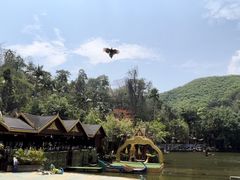 -西双版纳原始森林公园