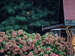 -云峰山自然风景区