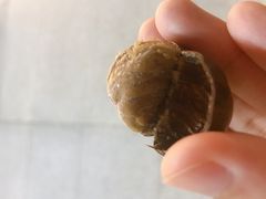 -粒上皇(维多利亚广场店)