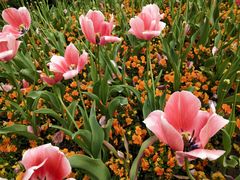 -中共上海市委党校 上海行政学院