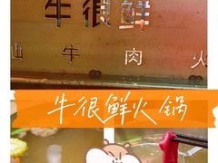 -牛很鲜潮汕牛肉火锅(朝晖路店)