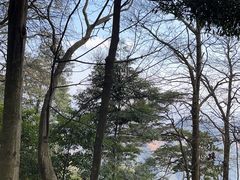 -青城山