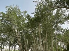 -敦煌莫高窟数字展示中心