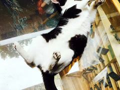 -猫的天空之城概念书店(杭州南宋御街店)