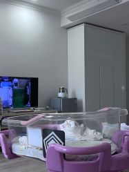 -添囍月子会所