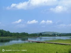-御道口草原森林风景区