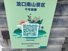 -龙口南山旅游景区