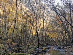 -叠溪松坪沟景区