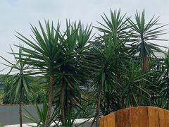 -悦哉·派对·草坪婚礼·围炉煮茶(三圣乡店)