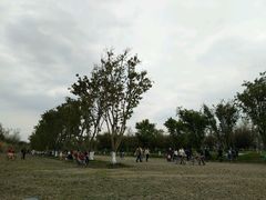 -白鹭湾湿地公园