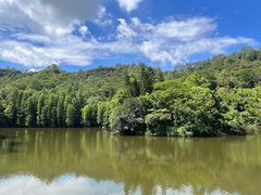 -滴水岩森林公园