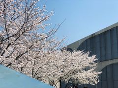 -龙美术馆西岸馆-停车场