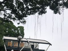 -珠江夜游省总码头