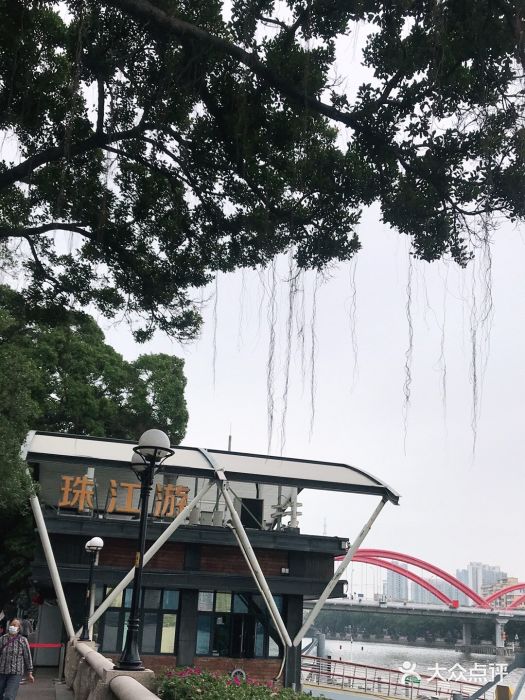 珠江夜游省总码头图片