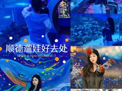 -顺德南宏海立方海洋公园