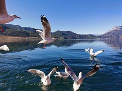 -丽江泸沽湖景区